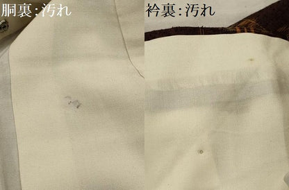平和屋着物■上質な紬　琉球絣文様　正絹　逸品　AABI4236sx