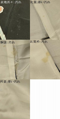 平和屋着物■豪華黒留袖　駒刺繍　飛鶴花文　金彩　正絹　逸品　AABI4242sx