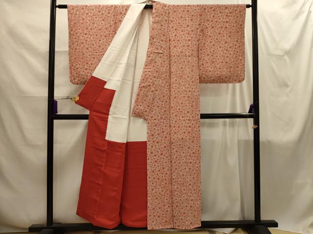 平和屋着物■上質な小紋　型染め　菊尽くし　正絹　逸品　AABI4274sx