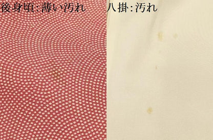 平和屋着物■江戸小紋　鮫小紋柄　正絹　逸品　AABI4297sx