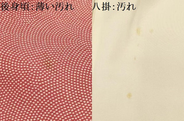 平和屋着物■江戸小紋　鮫小紋柄　正絹　逸品　AABI4297sx