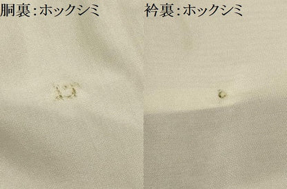 平和屋着物■上質な紬　亀甲花文　正絹　逸品　AABI4299sx
