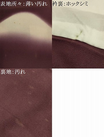 平和屋着物■豪華色留袖 遠山文 暈し染め 胴抜き仕立て 正絹 逸品 AABI4332sx