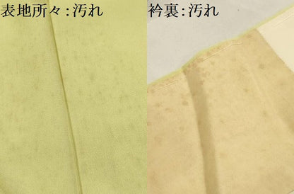 平和屋着物■訪問着 手描き 草花文 暈し染め 金彩 正絹 逸品 AABI4355sx