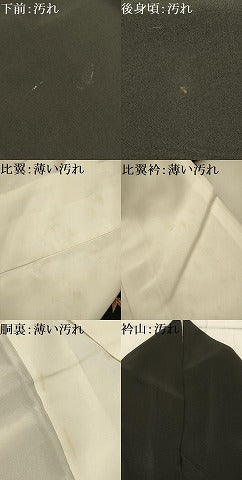 平和屋着物■豪華黒留袖　刺繍　吉祥草花文　金糸　金彩　正絹　逸品　AABI4374sx