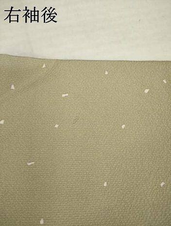 平和屋着物●上質な小紋　箔散らし文　正絹　逸品　AABI4517ck