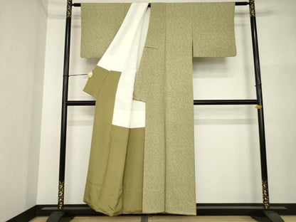 平和屋着物●江戸小紋　蓑亀　正絹　逸品　AABI4530ck