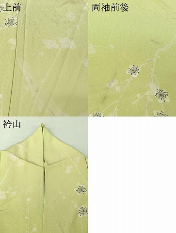 平和屋着物▽上質な小紋　単衣　手描き　枝梅文　正絹　逸品　AABI4649jh