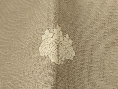平和屋着物＊夏物 お召 色無地 立波文 正絹 逸品 AABI4691jd