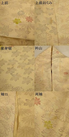 平和屋着物＊夏物 小紋 絽 舞花文 正絹 逸品 AABI4721jd