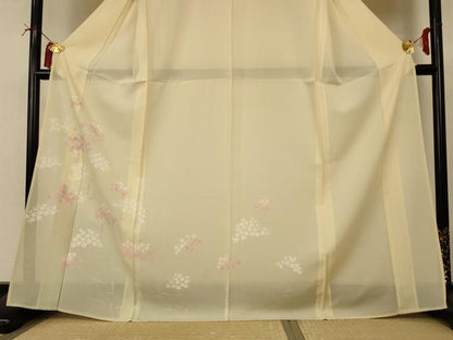 平和屋着物＊夏物 訪問着 絽 草花文 正絹 逸品 AABI4775jd
