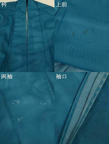 平和屋着物＊夏物 色留袖 絽 千鳥 正絹 逸品 AABI4780jd
