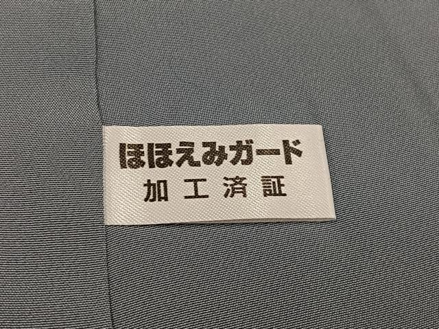 平和屋着物●上質な色無地　輪奈ビロード　更紗地紋　蕎麦切色　正絹　逸品　未使用　AABI4871ph