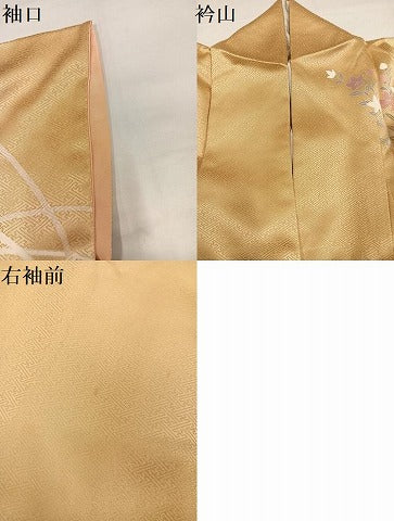 平和屋着物●訪問着　枝花文　暈し染め　そごう扱い　正絹　逸品　AABI4892ph