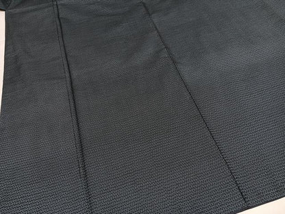 平和屋着物●男性　本場大島紬　アンサンブル　100亀甲　総詰め　キングサイズ　正絹　逸品　未使用　AABI4922ph