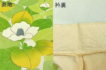 平和屋着物▽訪問着　単衣　草花文　暈し染め　金彩　正絹　逸品　AABI5003jh