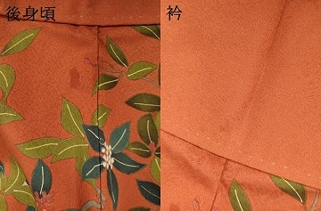 平和屋着物●訪問着　花蝶文　正絹　逸品　AABI5111ck
