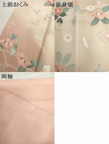 限定‼️激安‼️ 訪問着　友禅‼️　枝花文　暈し染め　正絹 平和屋着物○訪問着 友禅 枝花文 暈し染め 正絹 逸品 AABI5168cs