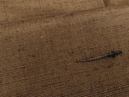 平和屋着物●男性　紬　色無地　憲法色　正絹　逸品　未使用　AABI5176cs