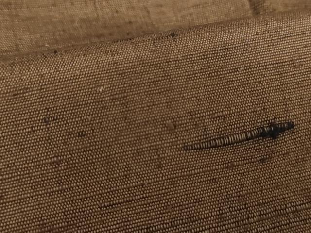 平和屋着物●男性　紬　色無地　憲法色　正絹　逸品　未使用　AABI5176cs