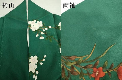 平和屋着物●豪華振袖　手描き　枝花文　金彩　鬼しぼ縮緬　正絹　逸品　AABI5183cs
