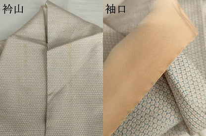 平和屋着物●本塩沢　訪問着　青海波　正絹　逸品　AABI5255cs