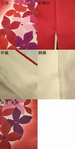 平和屋着物●染色作家　斉藤三才　振袖・袋帯セット　花尽くし　暈し染め　正絹　逸品　AABI5300ck