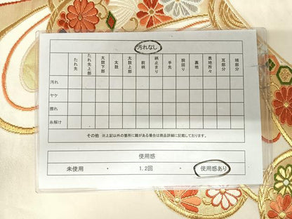 平和屋着物◎六通柄袋帯　唐織　捻梅　金銀糸　正絹　逸品　AABI5719yx