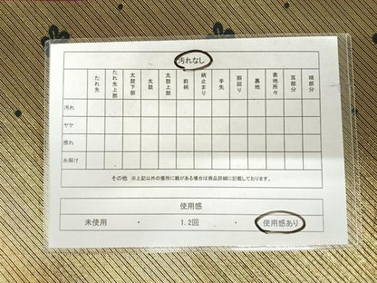 平和屋着物◎両面全通柄袋帯　花間道　金糸　正絹　逸品　AABI5777yx