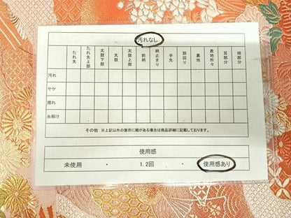 平和屋着物◎六通柄袋帯　唐織　道長花文　金銀糸　正絹　逸品　AABI5780yx