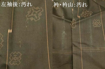 平和屋着物■上質な紬　舞花間道　正絹　逸品　AABI5814fw