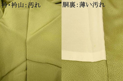 平和屋着物■色留訪問着　手描き　風景文　正絹　逸品　AABI5825fw