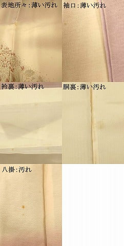 平和屋着物■訪問着　寿光織　鳳凰更紗花文　暈し染め　金銀糸　正絹　逸品　AABI5833fw