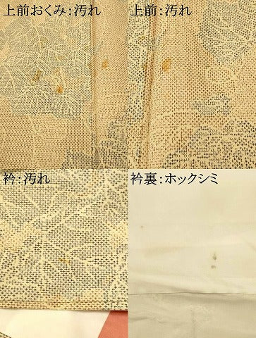平和屋着物■上質な紬　葡萄の蔓　正絹　逸品　AABI5841fw