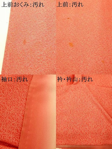 平和屋着物■江戸小紋　草花文　正絹　逸品　AABI5854fw