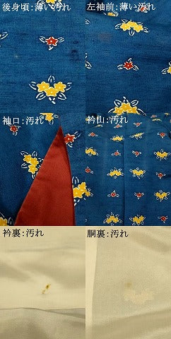 平和屋着物■上質な紬　型染め　草花文　正絹　逸品　AABI5863fw