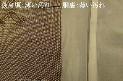 平和屋着物■上質な紬　七宝風景文　正絹　逸品　AABI5865fw