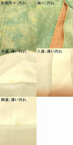 平和屋着物■上質な小紋　草葉霞文　暈し染め　正絹　逸品　AABI5872fw