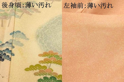 平和屋着物■訪問着　風景文　暈し染め　正絹　逸品　AABI5878fw