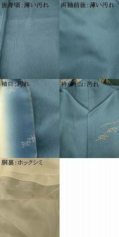 平和屋着物■訪問着 刺繍 風景草花文 暈し染め 金糸 金彩 正絹 逸品 AABI5880fw