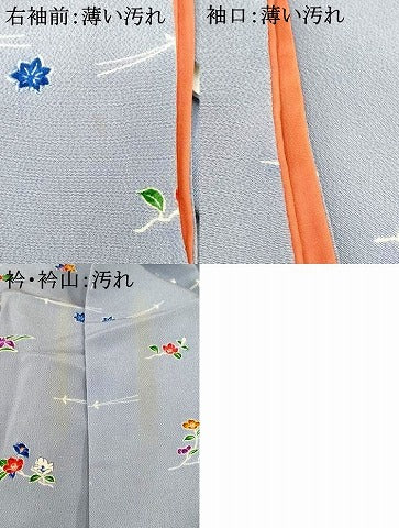 平和屋着物■訪問着　枝花文　鬼しぼ縮緬　正絹　逸品　AABI5888fw