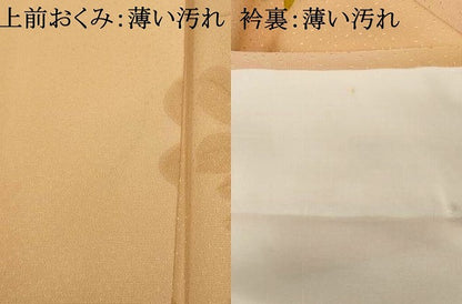 平和屋着物■訪問着　手描き　枝花文　金彩　正絹　逸品　AABI5889fw