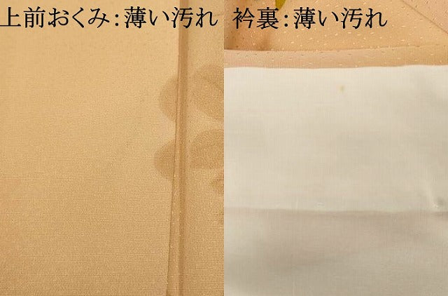 平和屋着物■訪問着　手描き　枝花文　金彩　正絹　逸品　AABI5889fw