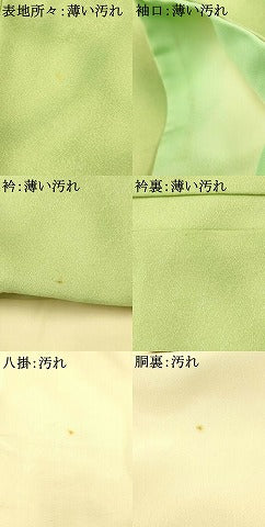 平和屋着物■上質な小紋　霞流水文　暈し染め　正絹　逸品　AABI5911fw