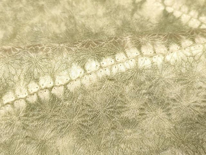 平和屋着物■上質な小紋 絞り 舞花霞文 暈し染め 正絹 逸品 AABI5925fw