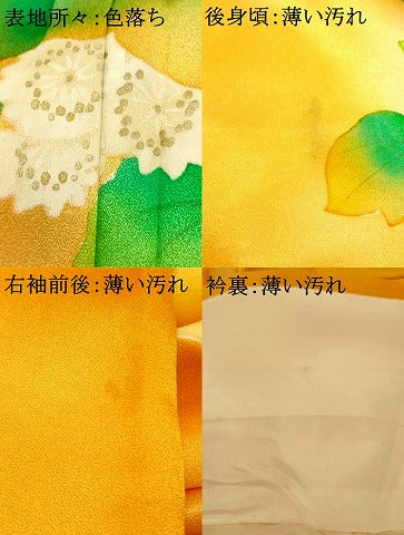 平和屋着物■訪問着　手描き　草花霞文　暈し染め　金彩　正絹　逸品　AABI5932fw