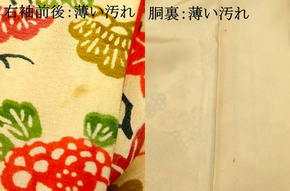 平和屋着物■上質な小紋　型染め　吉祥枝花文　松　梅　正絹　逸品　AABI5933fw