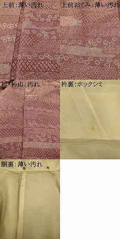平和屋着物■江戸小紋　エ霞舞花文　正絹　逸品　AABI5935fw