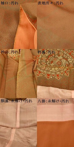 平和屋着物■お召　正倉院鳥獣花文　正絹　逸品　AABI5946fw