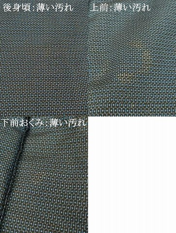 平和屋着物■男性　本場大島紬　100亀甲　総詰め　正絹　逸品　AABI5972fw